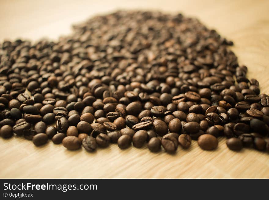 Coffee Beans in a Camera Focus Phoot