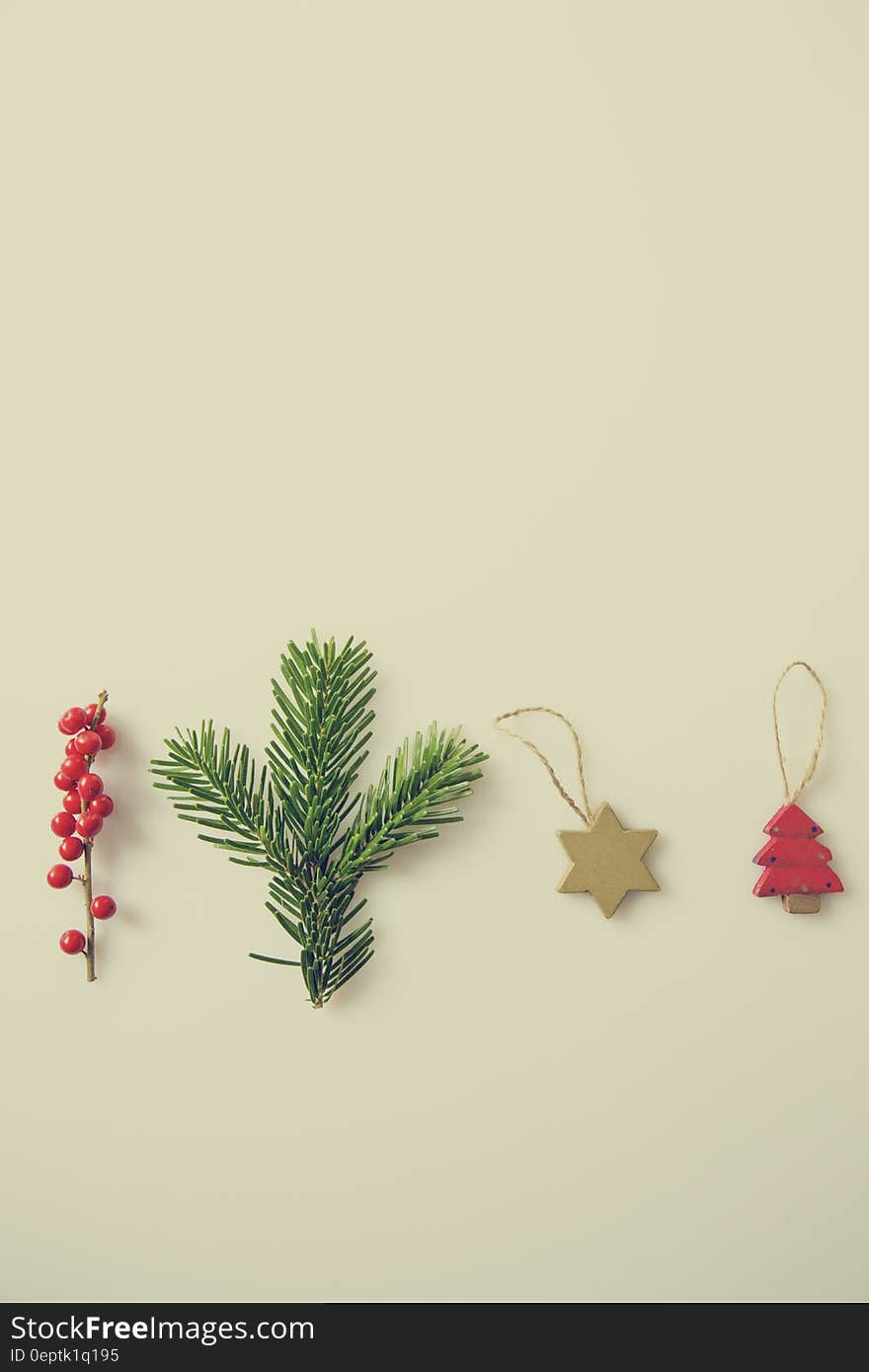 Red Pine Trees Star Palm Tree Branch and Red Berry on White Background