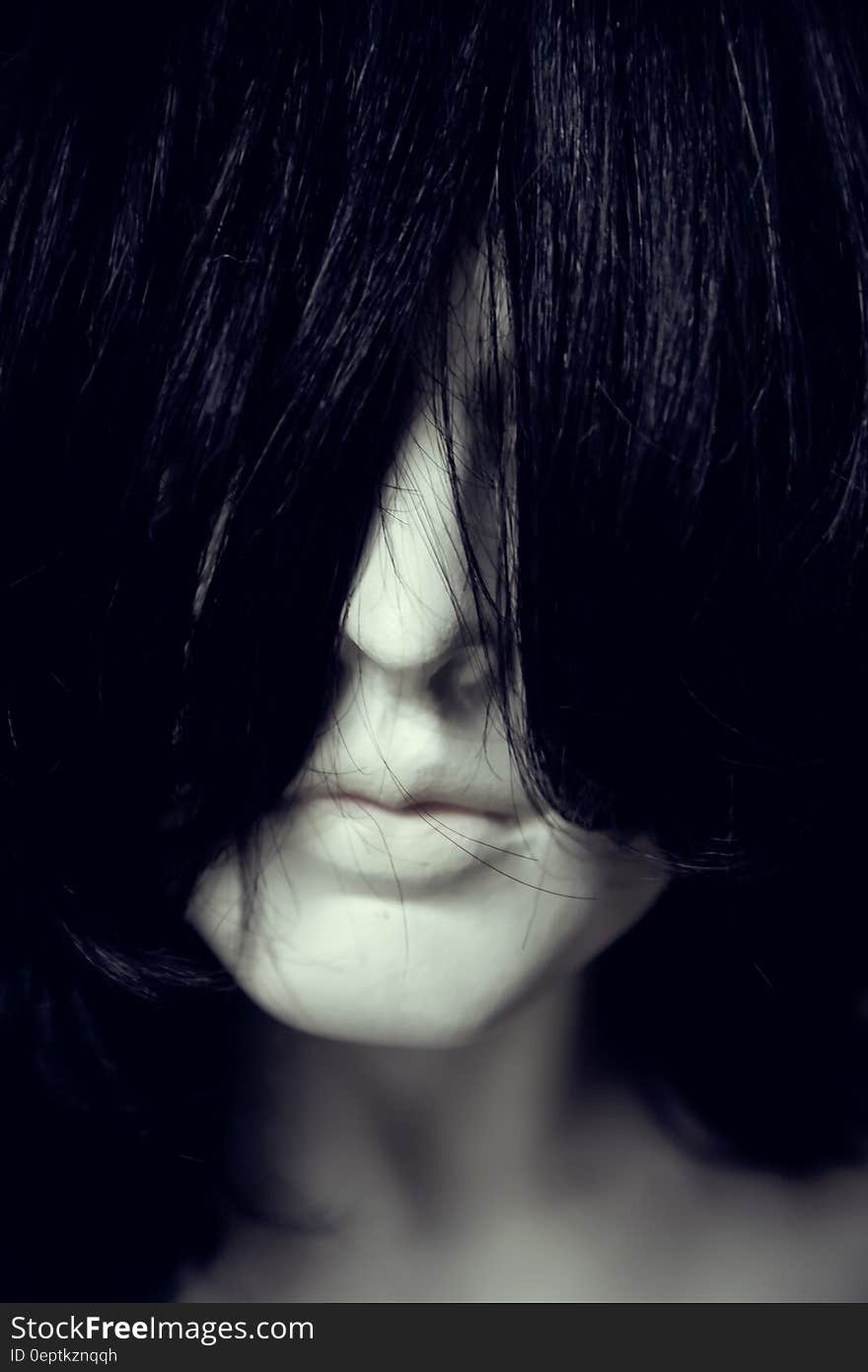 Woman Face Covered With Hair