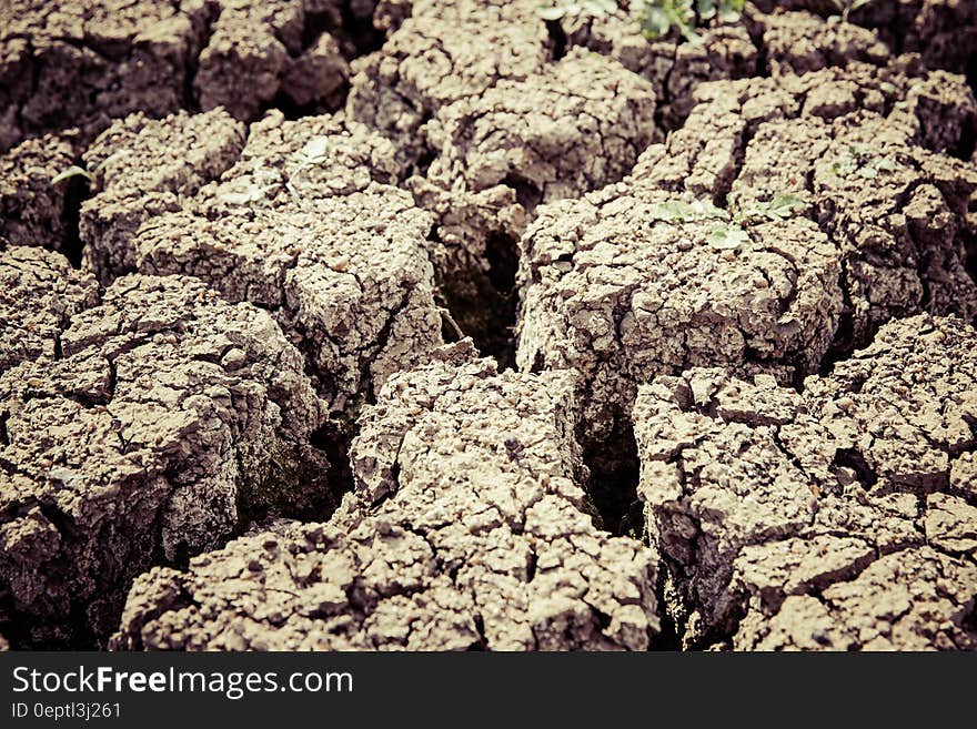 Gray Dry Soil in Macro Shot Photography