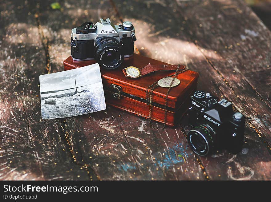 Vintage cameras