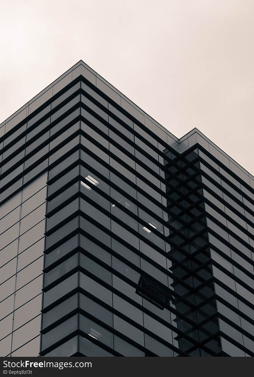 Black and White Building