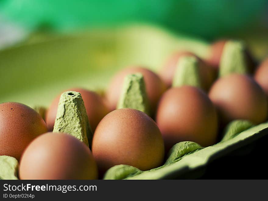 Close up of brown eggs in green carton. Close up of brown eggs in green carton.