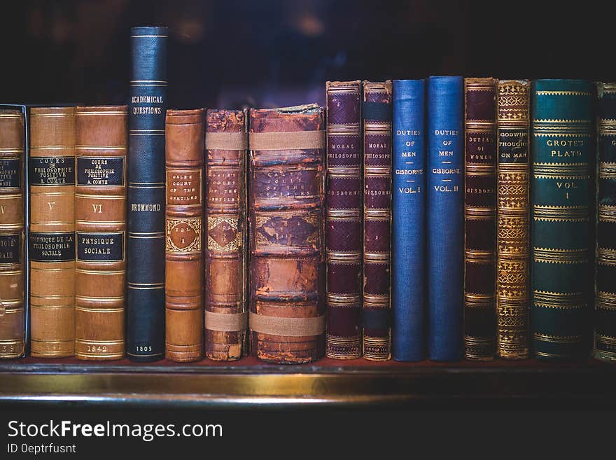 Blue and Gold Cover Book on Brown Wooden Shelf