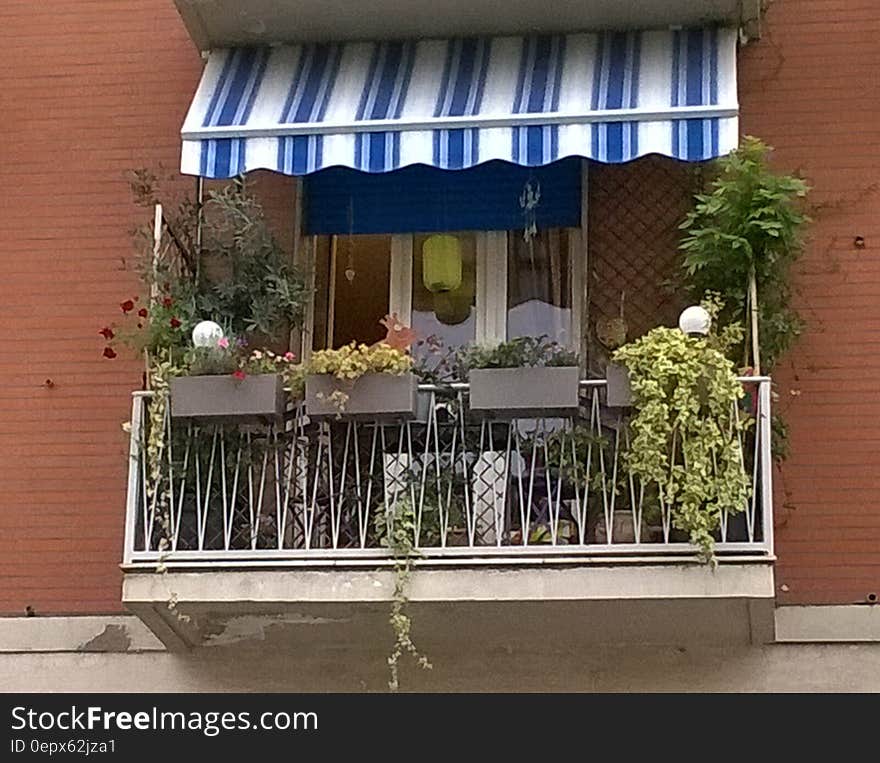 Basta un balcone fiorito per fare più bello il nostro quartiere. Basta un balcone fiorito per fare più bello il nostro quartiere.