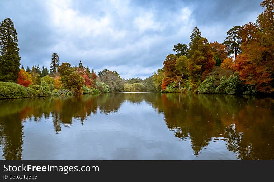 Sheffield Park. Sheffield Park