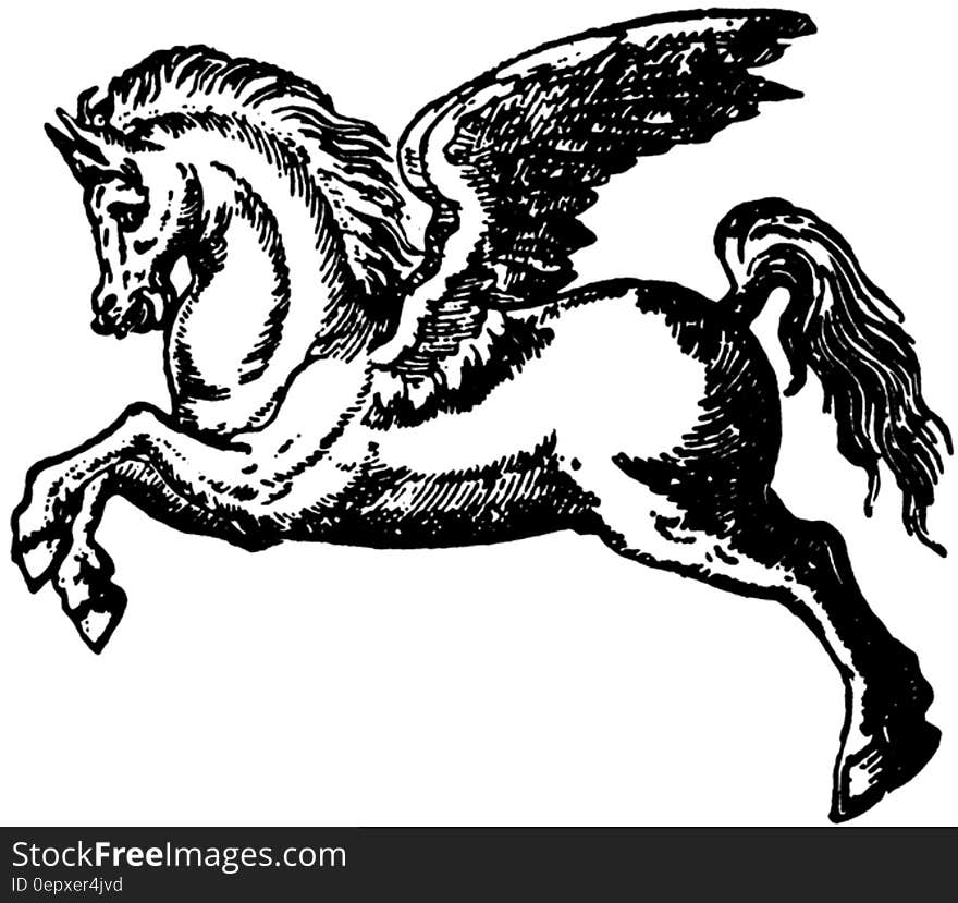 Black and white ink illustration of Pegasus the winged horse. Black and white ink illustration of Pegasus the winged horse.