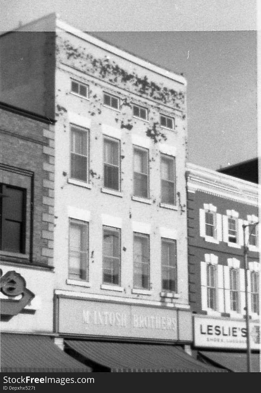 Storefronts in downtown Belleville circa 1970 in black and white. Storefronts in downtown Belleville circa 1970 in black and white.