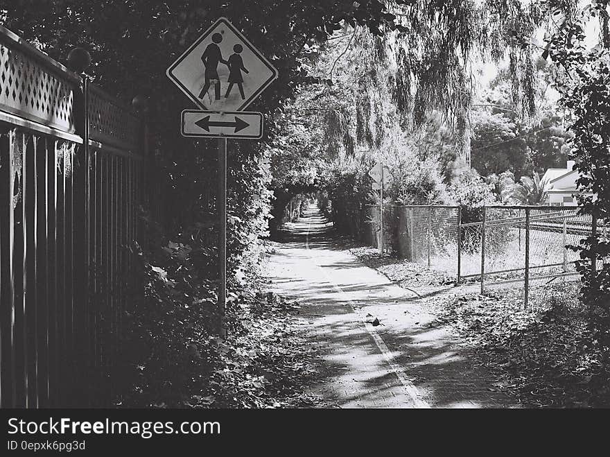 Bike lane by urban park with pedestrian crosswalk sign in black and white. Bike lane by urban park with pedestrian crosswalk sign in black and white.