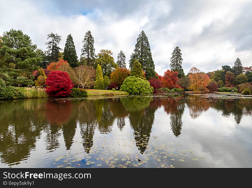 Sheffield Park Autumn Colour. Sheffield Park Autumn Colour