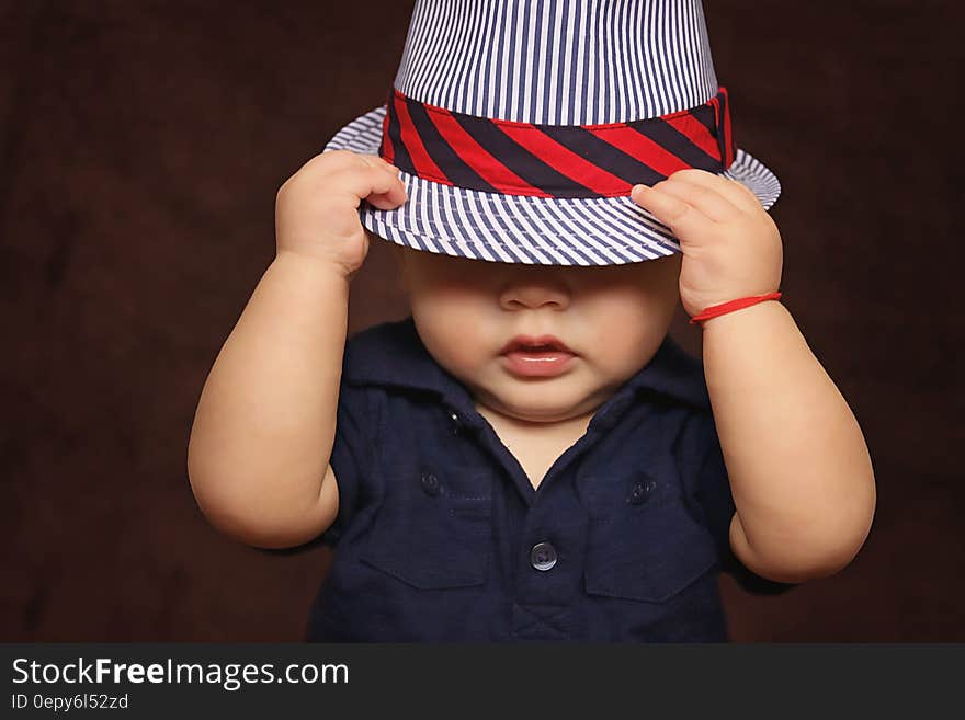 Black and White Stripes Fedora Hat