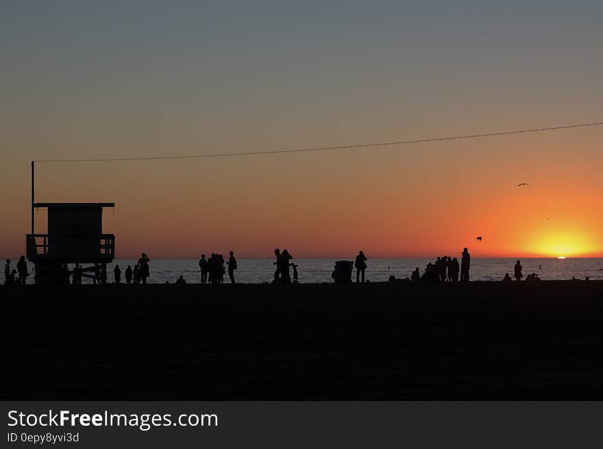 People Standing on Beach