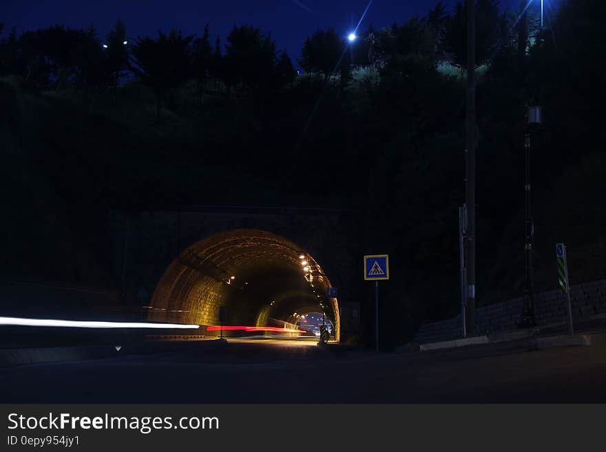 Time Laps Photography of Car Tunnel With Trees during Night Time