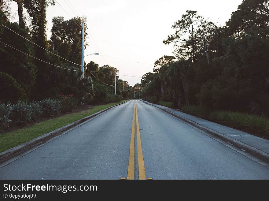 Straight Empty Road Between Trees during Daytime