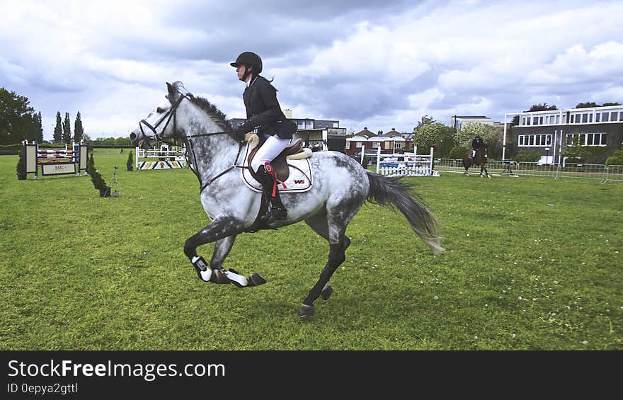 Woman Riding White Black Horse on Green Lawn during Daytime