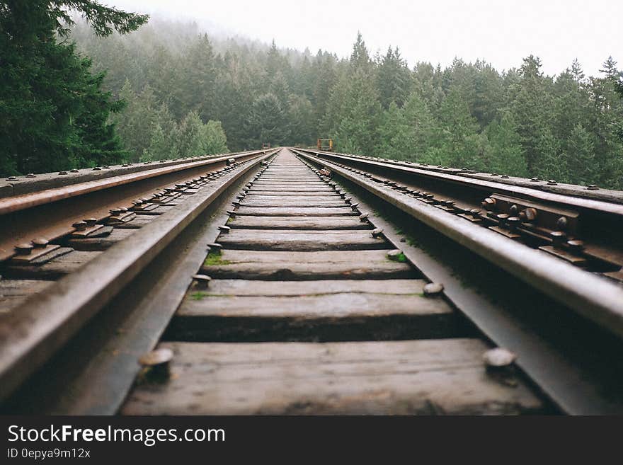 Brown Steel Train Rail during Daytime