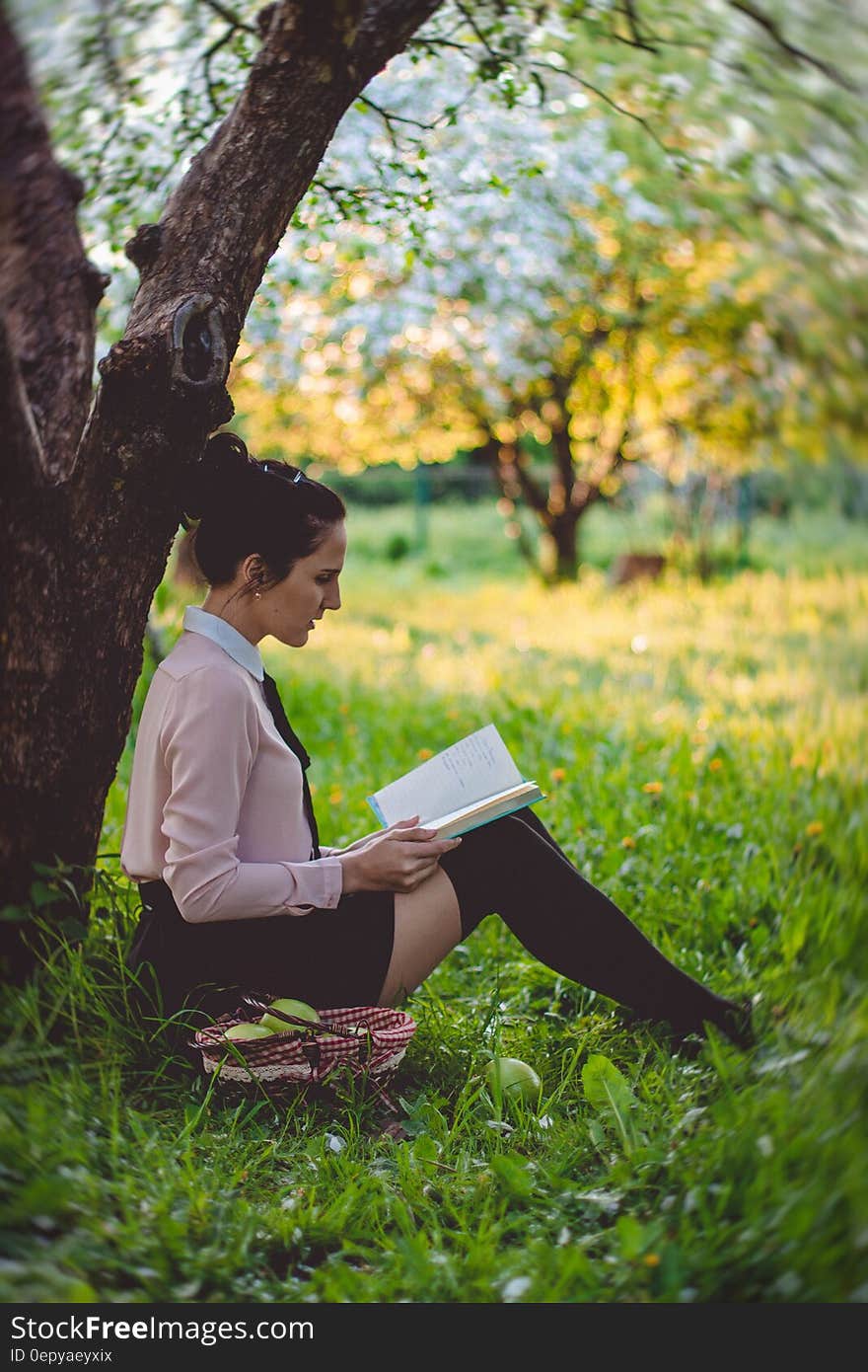 Women Reading a Book Under the Tree