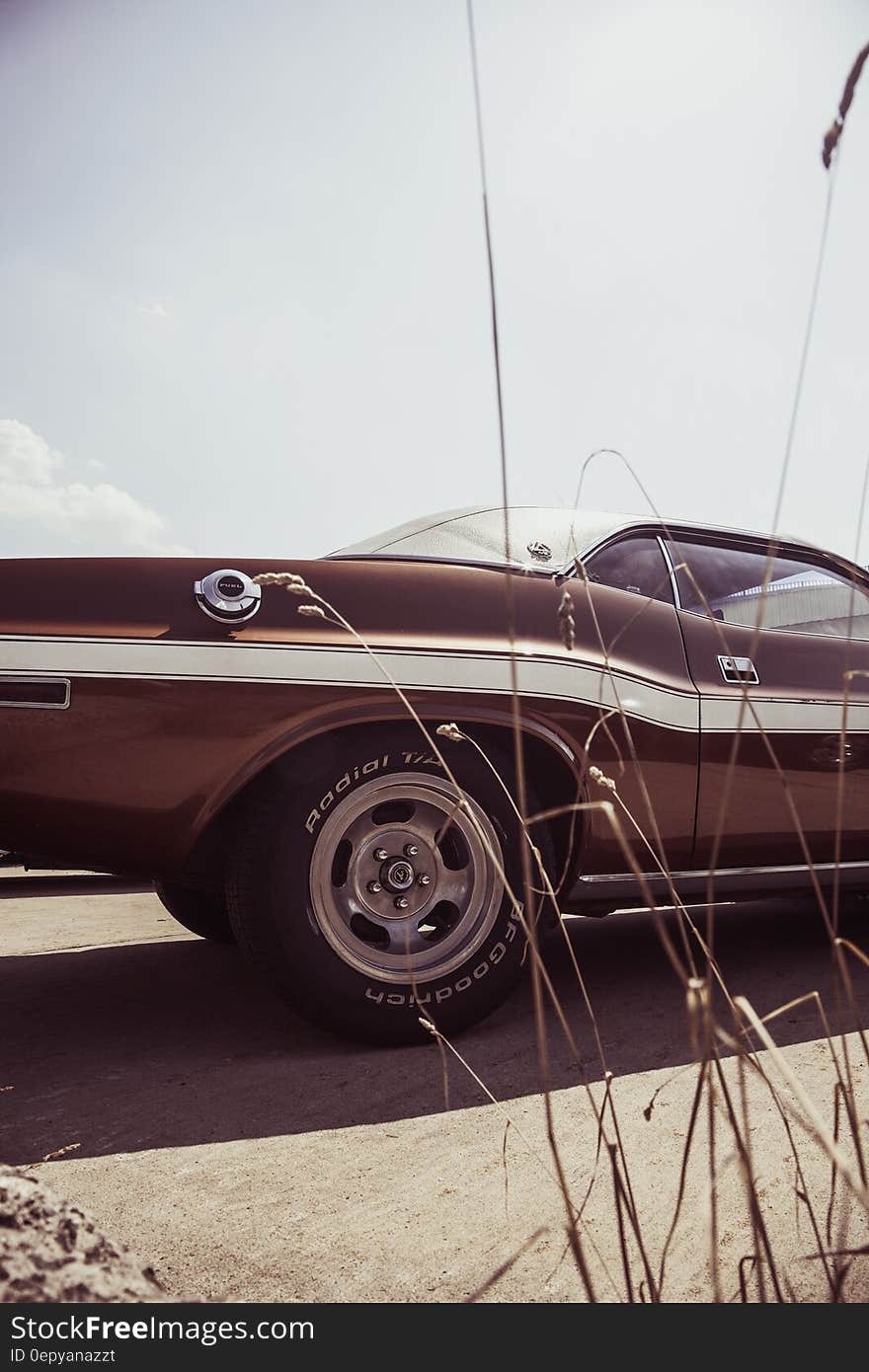 Black Muscle Car Near Brown Grass during Daytime