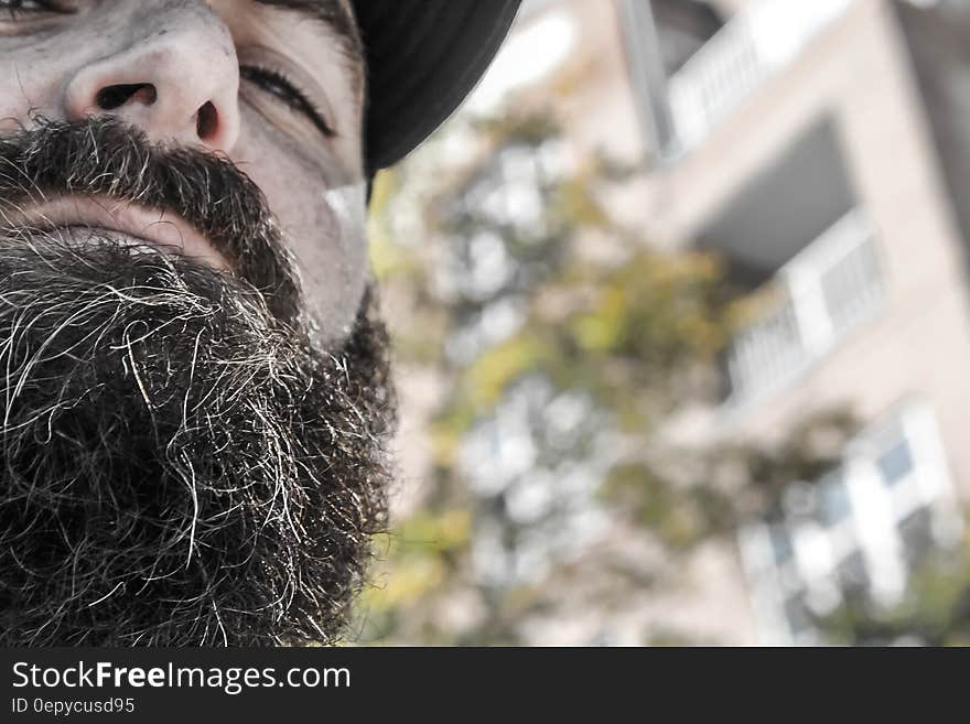 Selfie style photo of man outdoors with long beard. Selfie style photo of man outdoors with long beard.