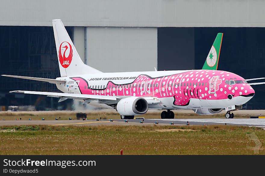 Airport with twin engined jet plane on the tarmac decorated as a pink spotted fish with open mouth and with a red bird on the tail. Airport with twin engined jet plane on the tarmac decorated as a pink spotted fish with open mouth and with a red bird on the tail.