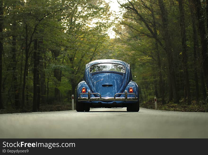 Blue Beetle Car on Gray Asphalt Road Between Green Leaf Trees