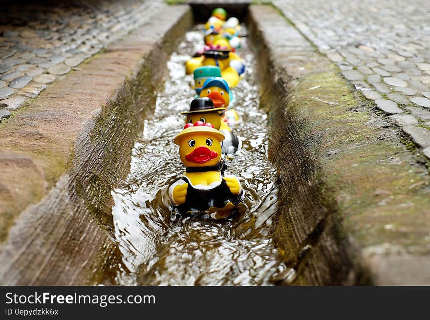 Yellow Duckies in Line on a Concrete Floor