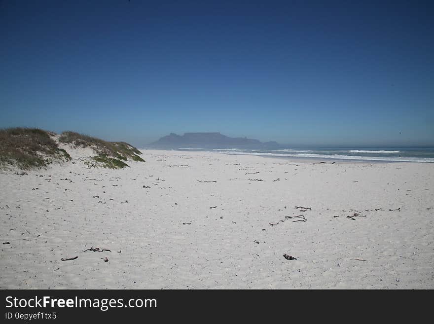 White Sand and Green Grass Near Beach