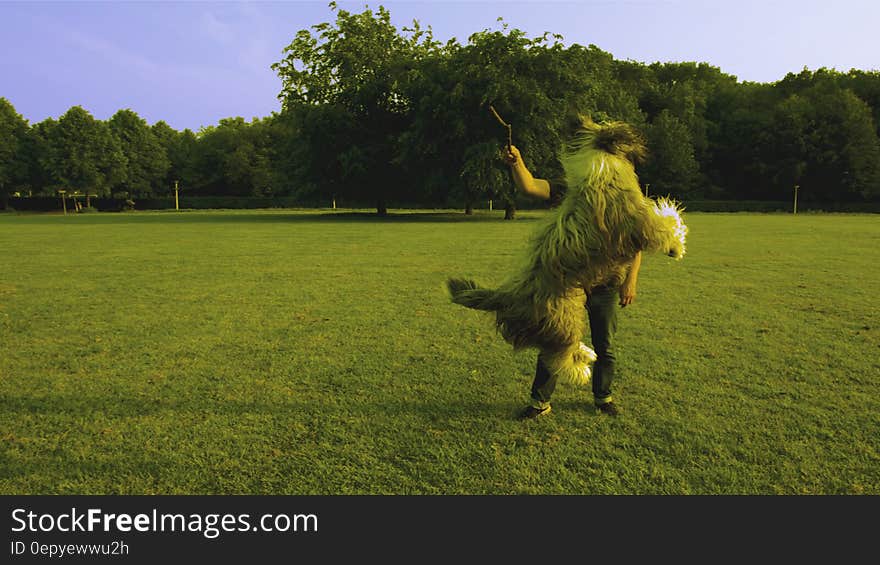 Man in Black Shirt Standing on Green Lawn While Playing With Brown Long Coat Medium Sized Dog