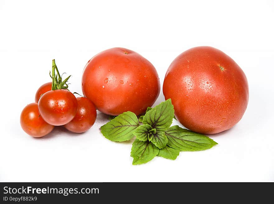 Tomato Fruit