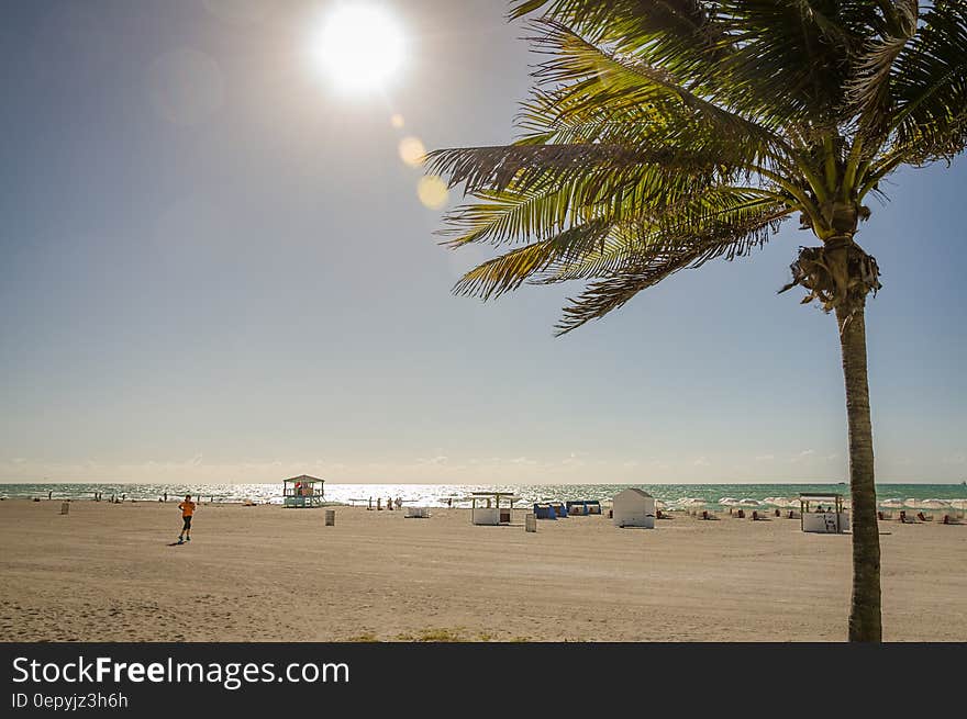 People Lying on the Seashore during Daytime