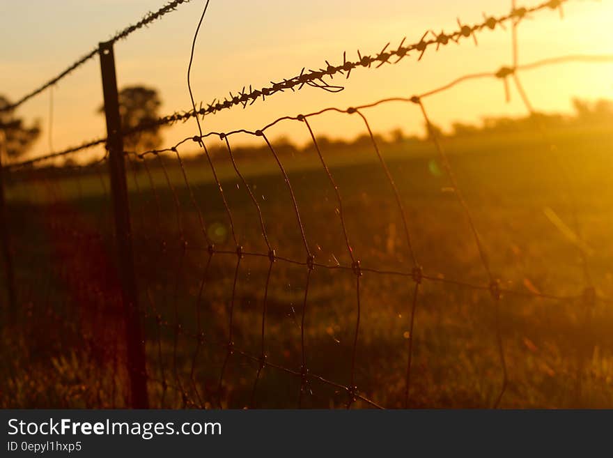 Black Chain Link Metal Fence in Grass Field