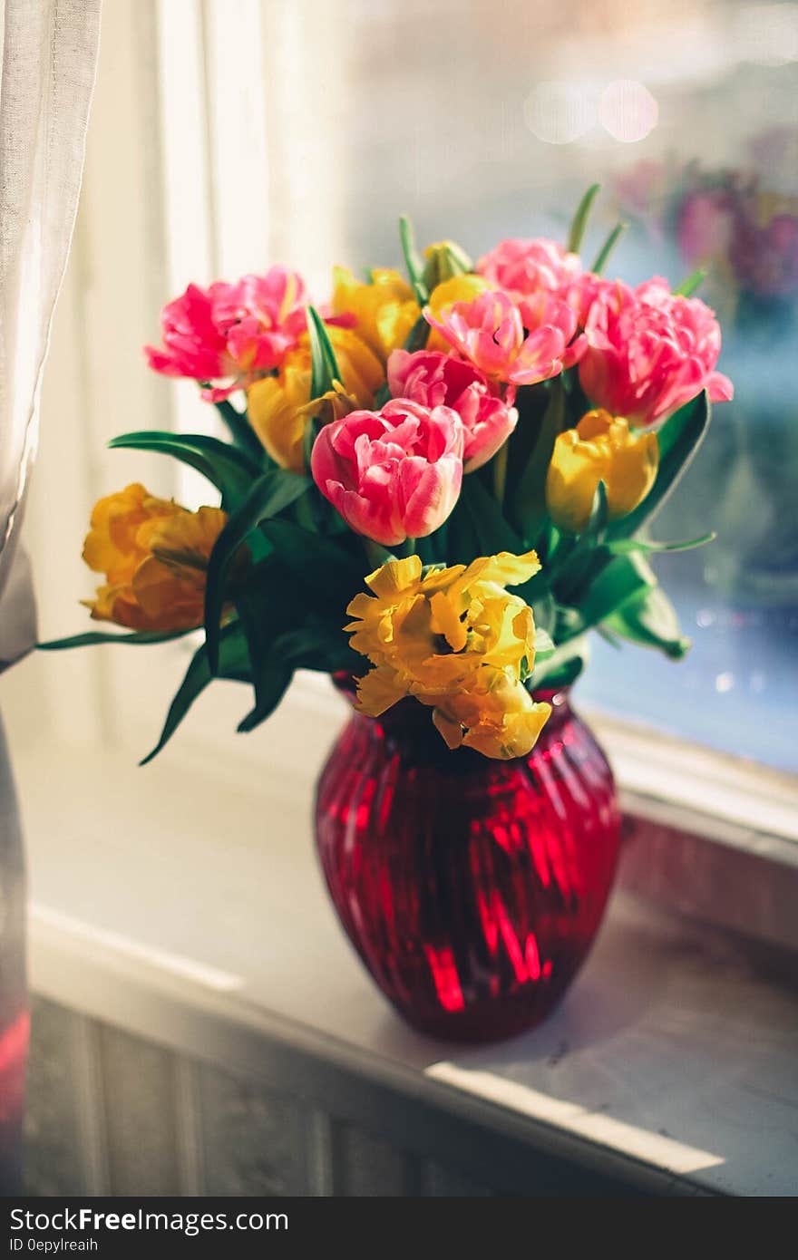 Pink and Yellow Petaled Flower on Red Glass Vase