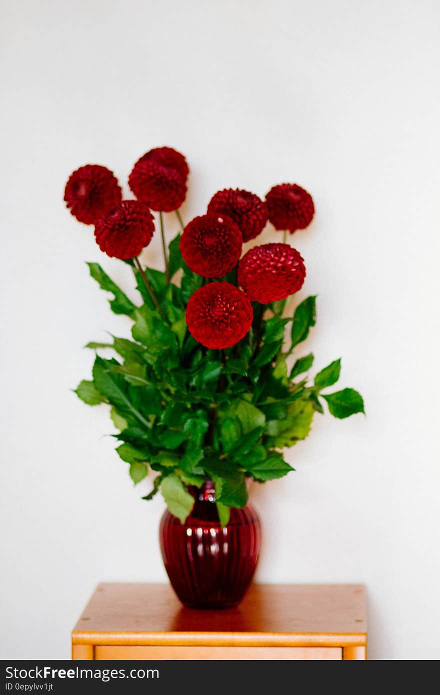 Red Flower Vase