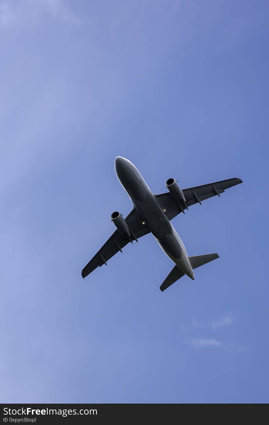 Gray Airplane Under Blue Sky during Daytime