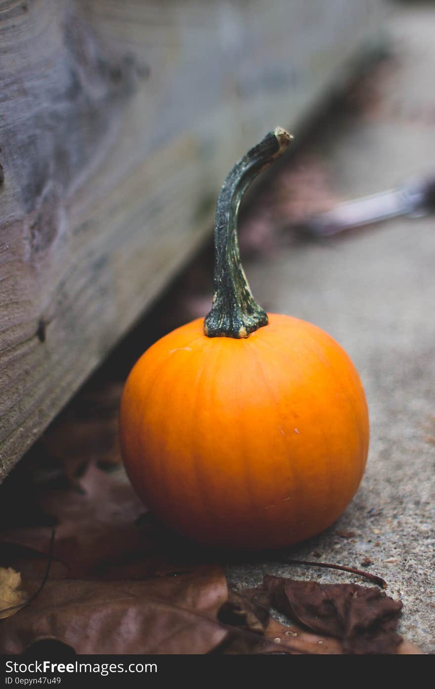 Close up of orange pumpkin on ground next to wooden board.