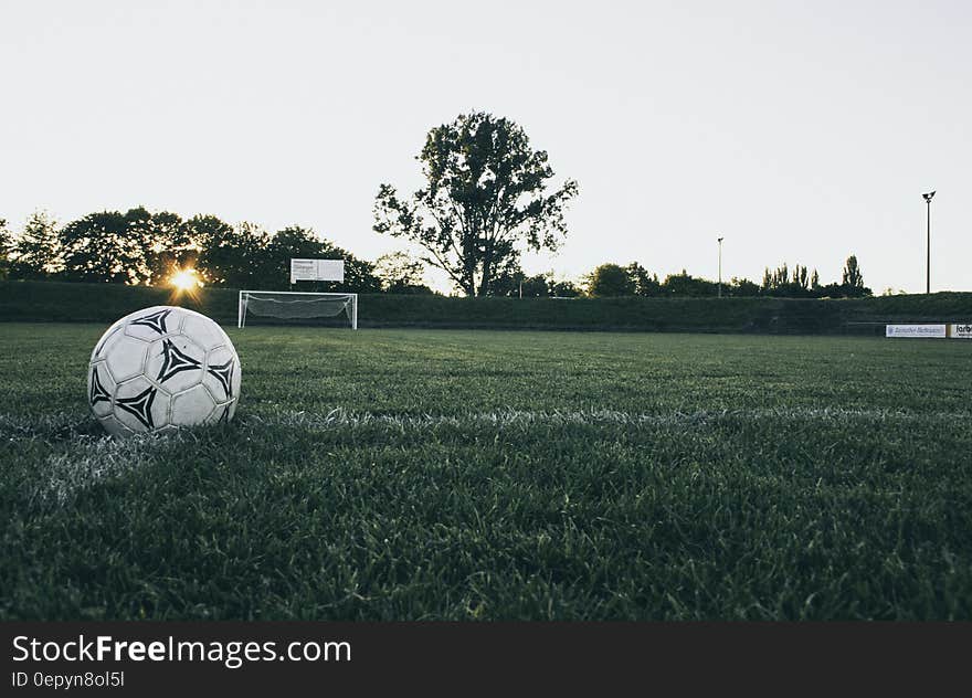 Black and White Soccer Ball on Green Grass Land during Daytime