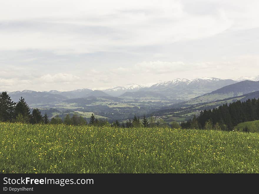 Green Grass Field Under Grey Clear Sky Overlooking Mountains