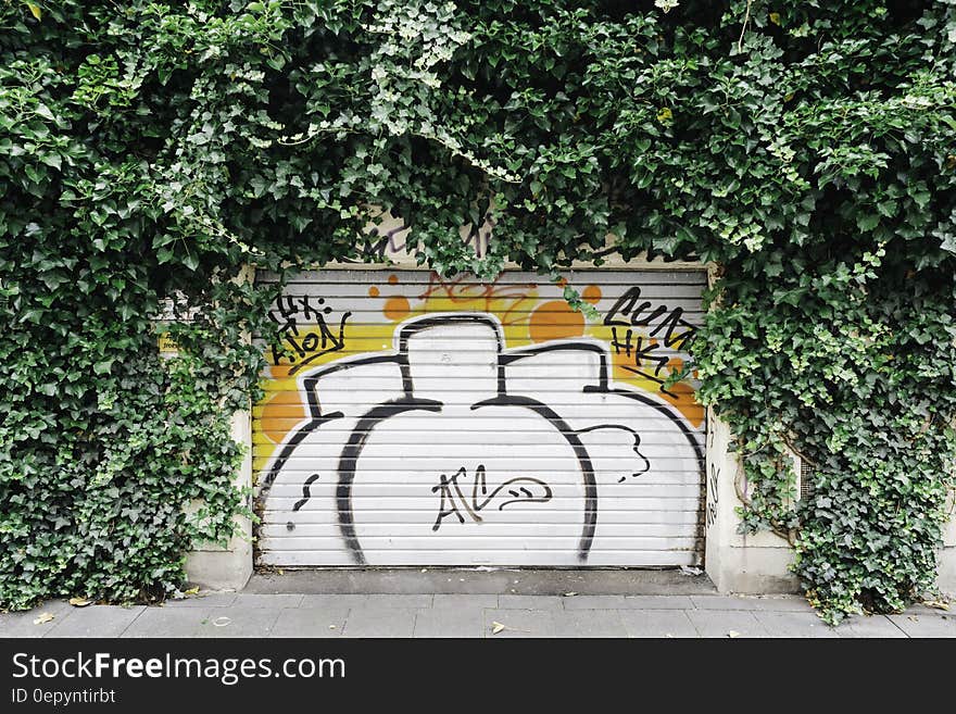 Graffiti on garage door surrounded by vines on sunny day.