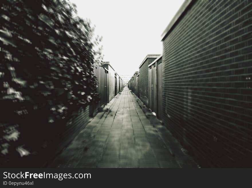 Grey Scale Photography of a Corridor