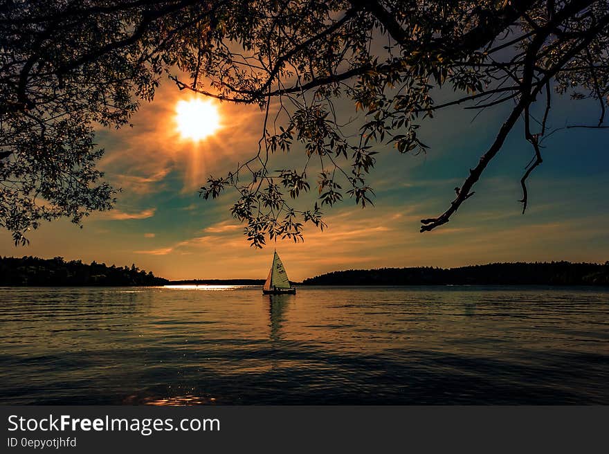 White and Black Selling Boat on Bed of Water during Daytime