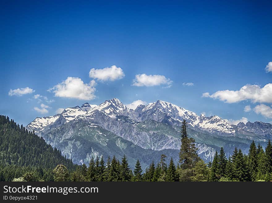 A landscape with green forest and snow capped mountains in the distance. A landscape with green forest and snow capped mountains in the distance.