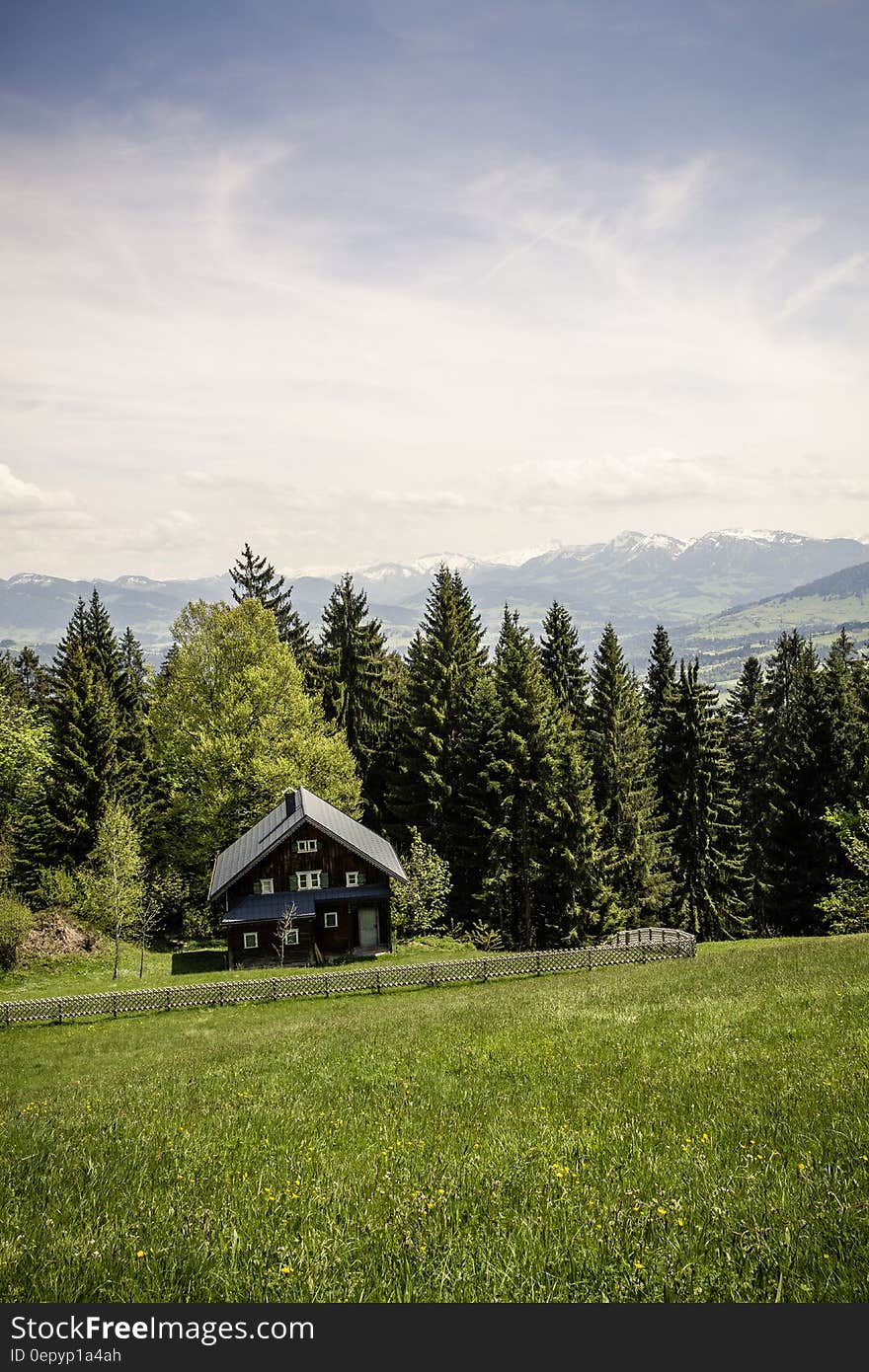 Brown Wooden House Neat Trees on Mountain Under Grey Clouds during Daytime