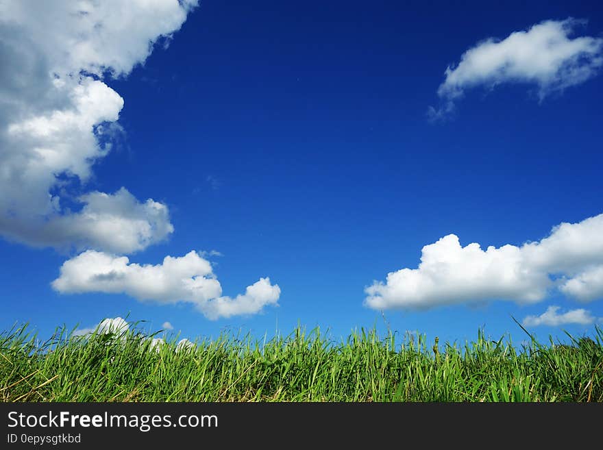 Low angle view of white clouds in blue sky over green field. Low angle view of white clouds in blue sky over green field.