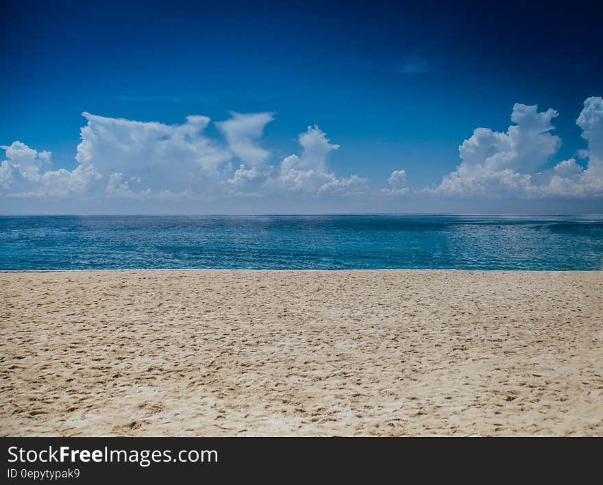 Ocean View during Daylight