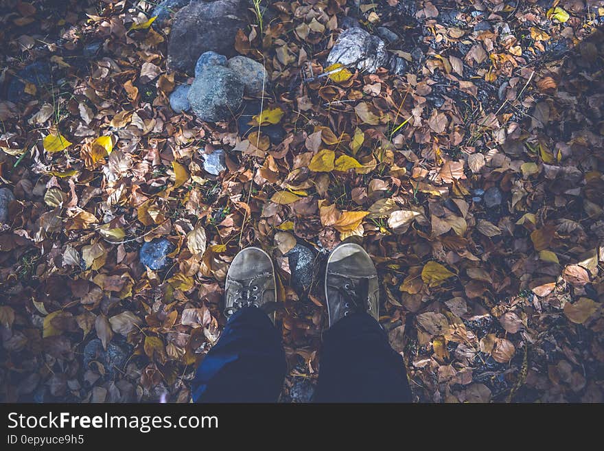 Person in Black Pants and Gray Low Top Shoes Stand on Dried Leaves and Rocks during Daytime