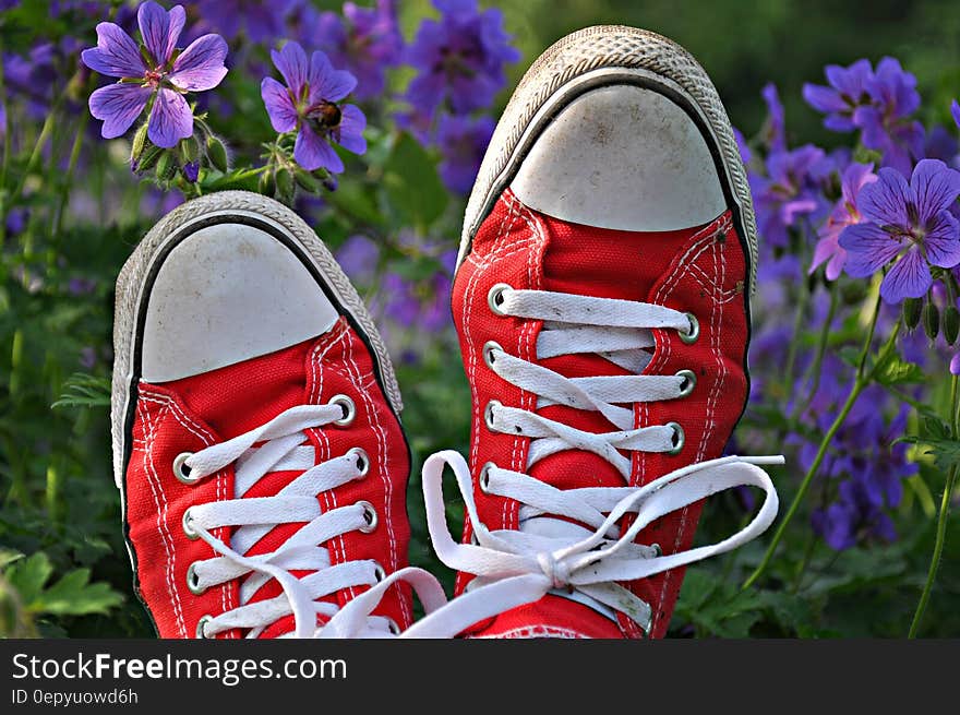 Closeup of red and white trainers belonging to a person lying in a field or meadow with wild purple flowers (violets) growing round about.