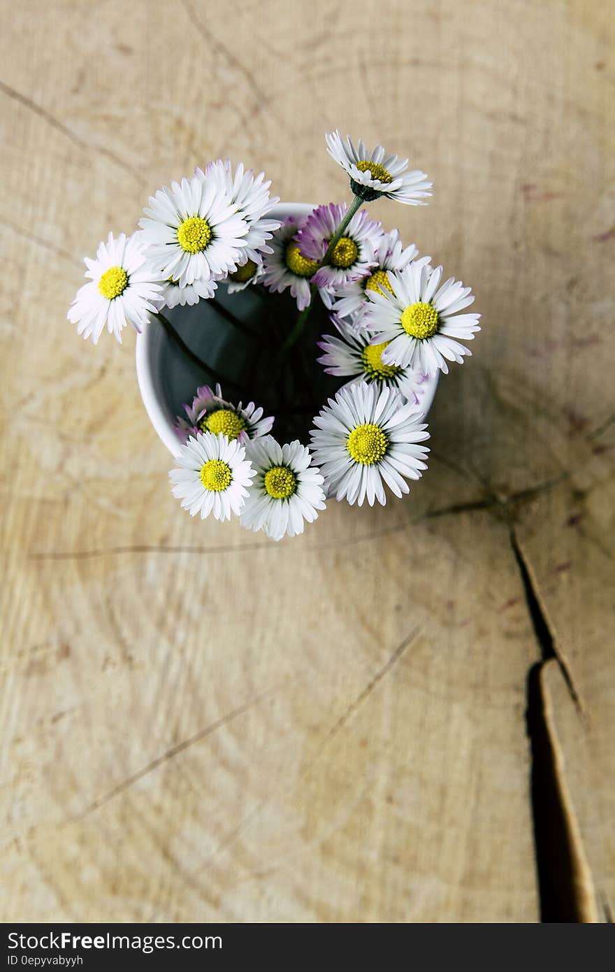 Cut white and purple daisies in ceramic vase on wooden tabletop. Cut white and purple daisies in ceramic vase on wooden tabletop.