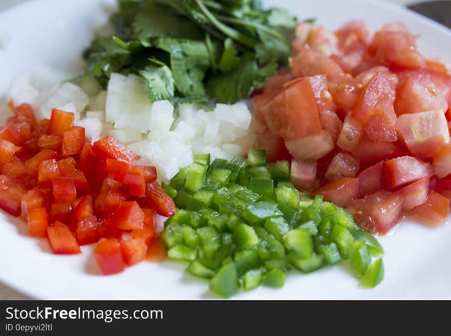 Chopped fresh peppers, onions, tomatoes and cilantro on white china plate. Chopped fresh peppers, onions, tomatoes and cilantro on white china plate.