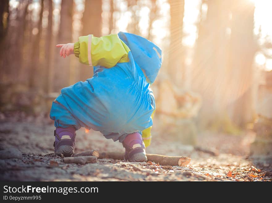 Baby Wearing Blue and Green Rain Coat Picking Brown Dead Tree Branch during Daytime