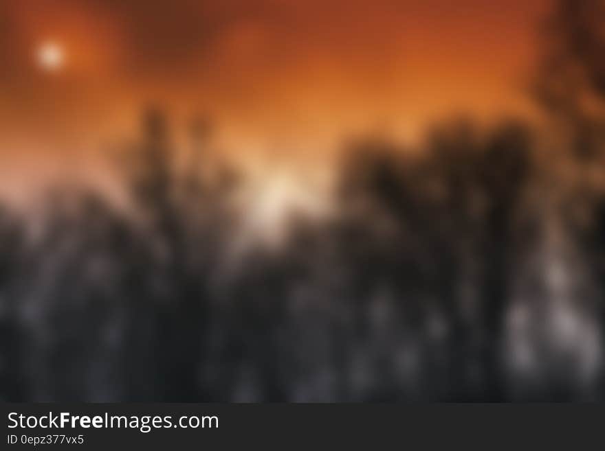 This is a blurred photo of black trees in the foreground and a red sunset in the background. The sun is covered by some clouds. This is a blurred photo of black trees in the foreground and a red sunset in the background. The sun is covered by some clouds.